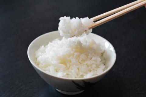 無洗米　定期便】  [定期便］令和４年産無洗米星空舞5㎏×4回コース（合計20ｋｇ）