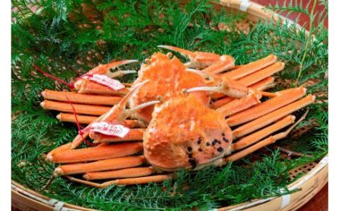 【数量限定】プロが認めるこだわり浜ゆで松葉かに（700g～800g×2）