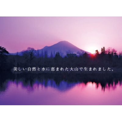 ＜大山ハム＞食の匠工房6種12品詰合せ TK30W【大山ブランド会】