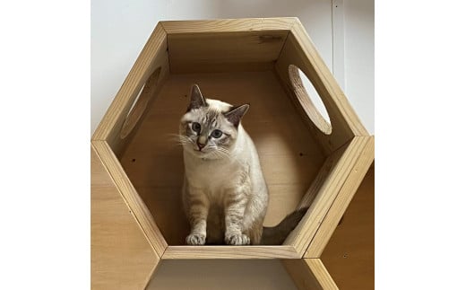 ハニカムカムふたなし　～大工職人が作る猫ちゃんの六角形ﾎﾞｯｸｽ～