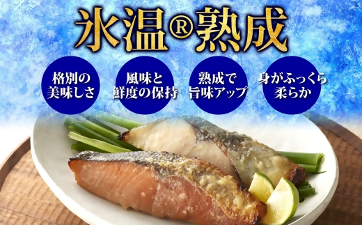 〈山陰大松〉氷温熟成　西京漬けギフトセット10切れ　ＳＳＫ-10