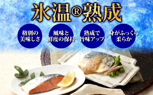 〈山陰大松〉氷温熟成　煮魚・焼魚ギフトセット１０切　米子市魚貝類部門No.1 IN-100