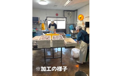 安藤水産干物詰合せB