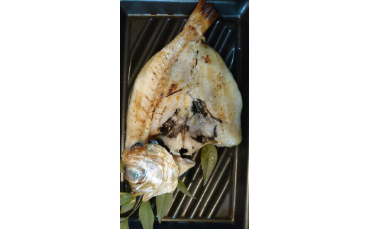 ノドグロ・白イカ入り干物セット（Aセット）【一夜干し】