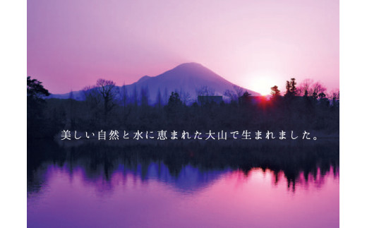 大山ハム食の匠工房６種７品詰め合わせ（CN-13）【大山恵みの里公社】