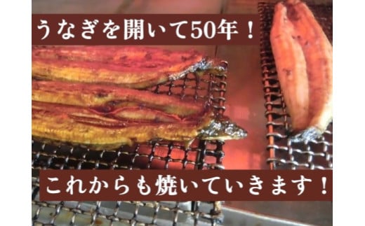 朝開き　うなぎ蒲焼特大　1尾入　タレ付