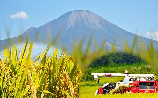 令和7年産 大山しらゆき米10kg（精白、コシヒカリ）