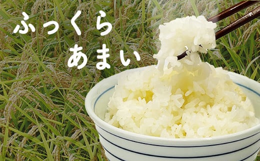 令和7年産　星空舞　５㎏（５㎏×１袋）