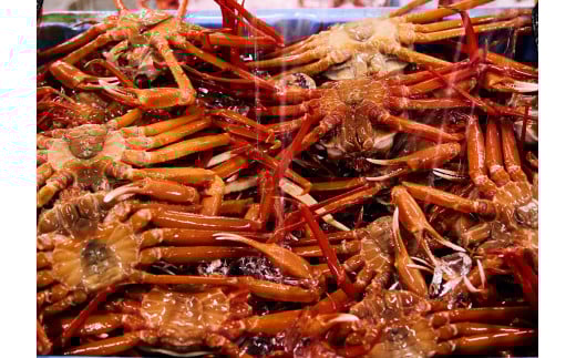 【訳あり】蟹屋の釜茹で紅ずわい蟹1kg箱詰めセット 500ｇ前後×2杯