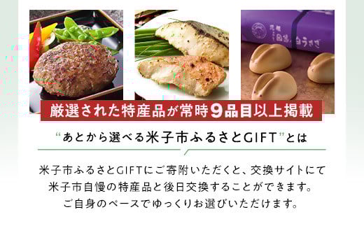 あとから選べる米子市ふるさとギフト(寄附金24,000円）