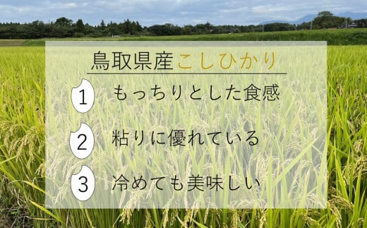 令和7年産 新米 大山しらゆき米10kg（精白、コシヒカリ）