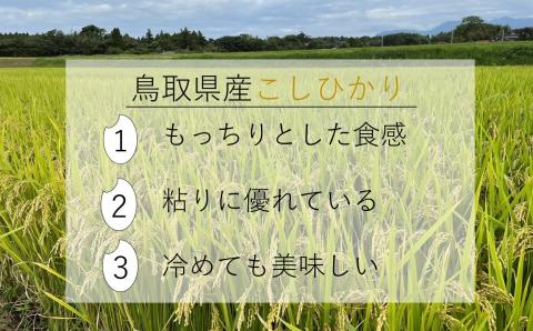 令和7年産 新米 大山しらゆき米10kg（精白、コシヒカリ）