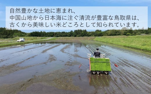 令和7年産　ひとめぼれ10kg（精白）