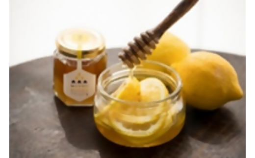 ニホンミツバチ100%の蜂蜜　3本入りギフトセット