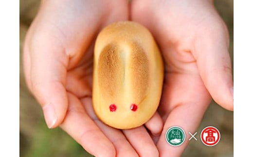 ＜寿製菓＞白うさぎの玉手箱（大山ブランド会）