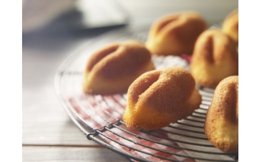 ＜寿製菓＞白ウサギフィナンシェと二十世紀梨ゼリー【髙島屋選定品】