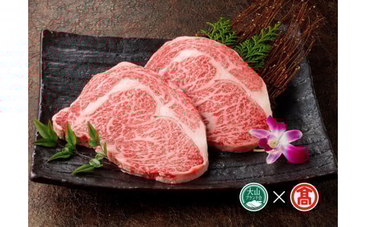 ＜だんだんキッチン＞鳥取和牛　リブロースステーキ用（250g×２枚）（大山ブランド会）