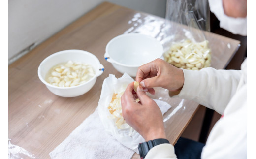 ガーリックスプラウトカレーお試しセット