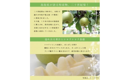 二十世紀梨ゼリー感動です。6個入