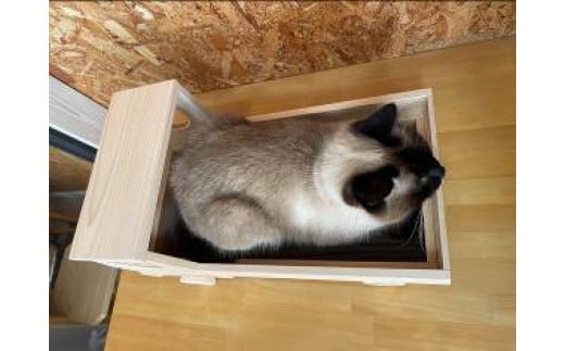 キャトラック2　～大工職人が作る猫トラック　爪とぎ付き～