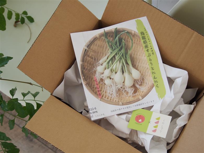 すぷらうとにんにくお試しセット