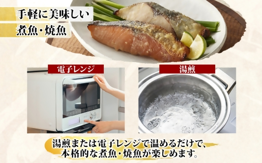 〈山陰大松〉氷温熟成　煮魚・焼魚ギフトセット１０切　米子市魚貝類部門No.1 IN-100