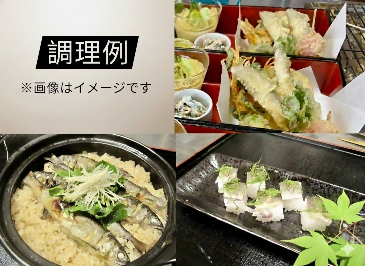 日野川育ちの「夏香鮎」瞬間冷凍１kg(約10cm小鮎）