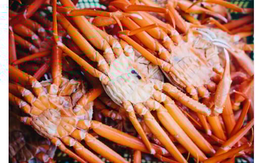 【訳あり 数量限定 期間限定】　脚折れ紅ズワイガニ（合計1.5kg）