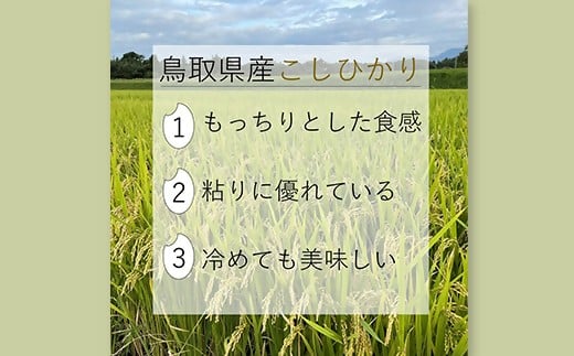 令和7年産 大山しらゆき米10kg（精白、コシヒカリ）