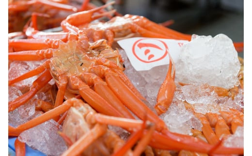 カット済〈生〉紅ずわい蟹2㎏セット