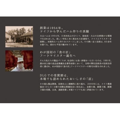 ＜大山ハム＞食の匠工房8種15品詰合せTK30+50【大山ブランド会】