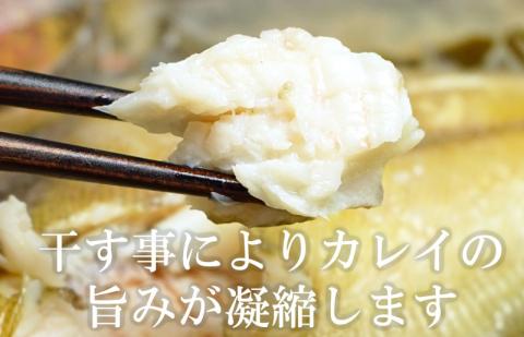 エテカレイ干物詰め合わせ-A