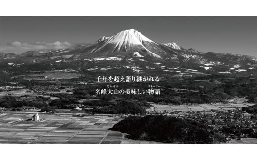 ＜大山物語＞　氷温®熟成 鳥取和牛×大山豚手造りハンバーグ 100g×6