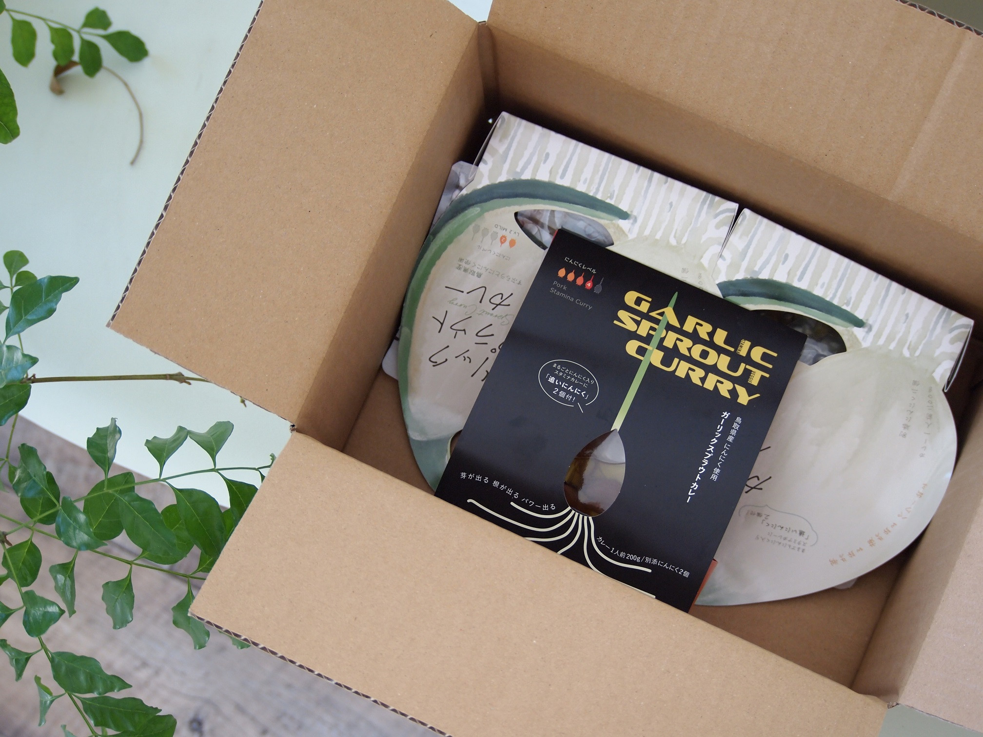 ガーリックスプラウトカレーお試しセット