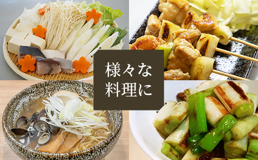 【先行予約】鳥取県産　白ネギの4kgバラ詰め合わせ