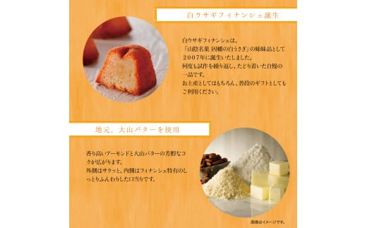 白ウサギフィナンシェ16個入