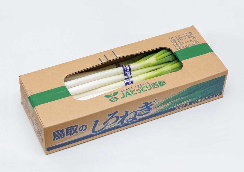 鳥取県産　白ねぎ（3kg）