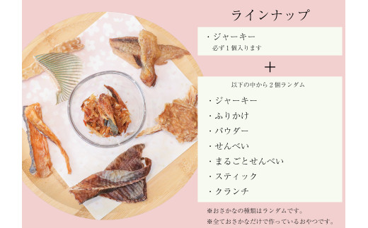 鳥取県米子市!山陰沖朝どれ鮮魚で作るわんことにゃんこのための贅沢3品詰め合わせ！