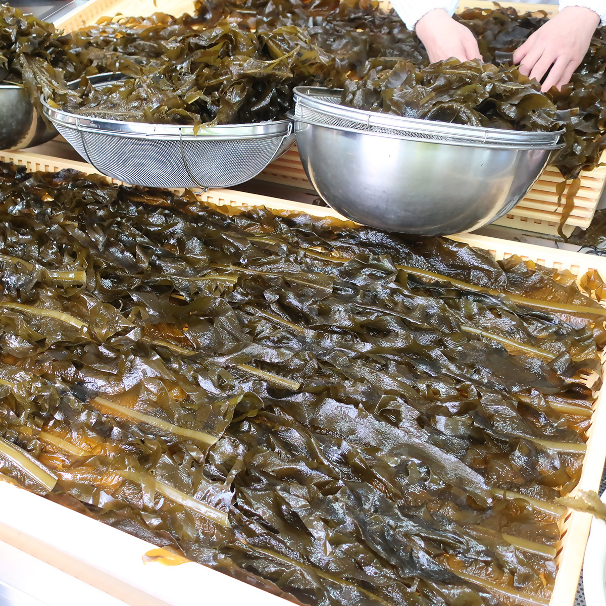 板わかめセット