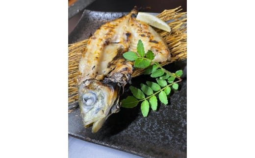 アジの干物セット（Fセット）【一夜干し】