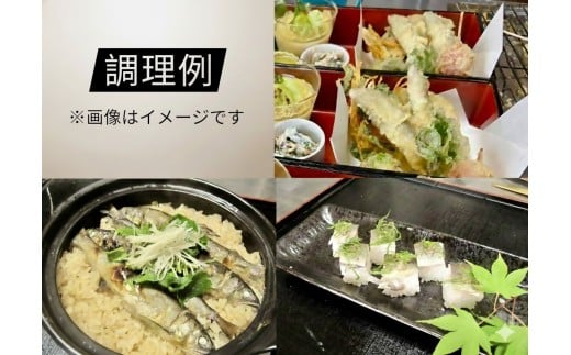 日野川育ちの「夏香鮎」瞬間冷凍１kg(約10cm小鮎）