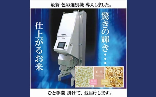 令和7年産 大山しらゆき米 10kg　無洗米　コシヒカリ