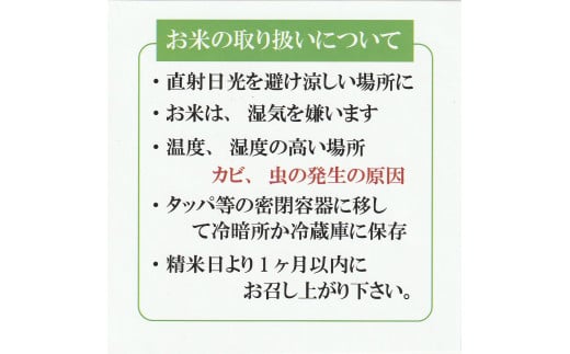 令和7年産 新米 大山しらゆき米10kg（精白、コシヒカリ）