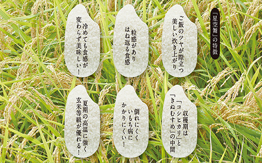 令和7年産　星空舞　１０㎏（５㎏×２袋）