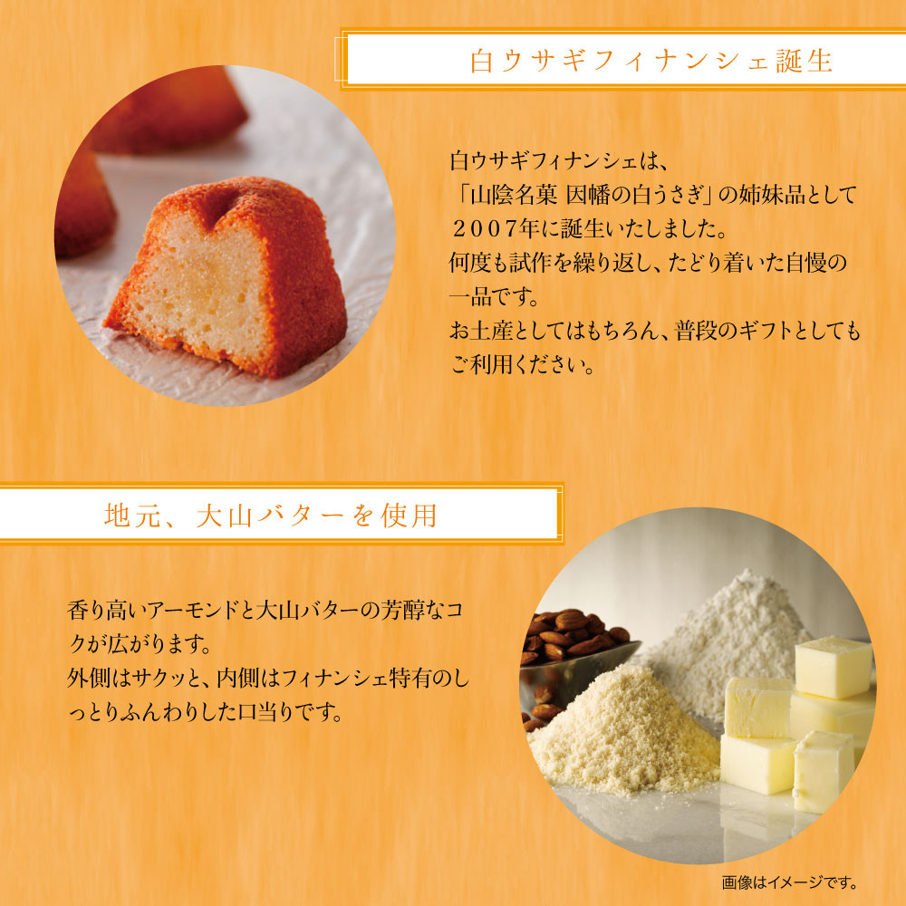 因幡の白うさぎ12個入り、白ウサギフィナンシェ12個入【寿製菓】