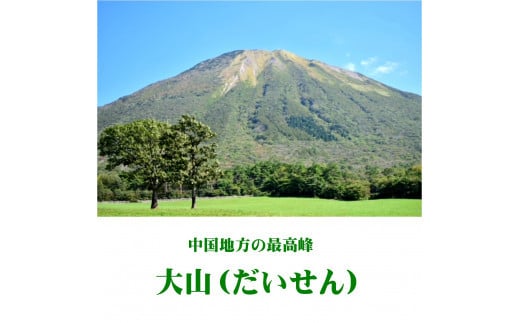 大山Gビール直営レストラン「ビアホフ　ガンバリウス」お食事券　3,000円分　GR-3