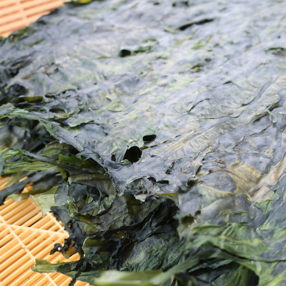 板わかめセット