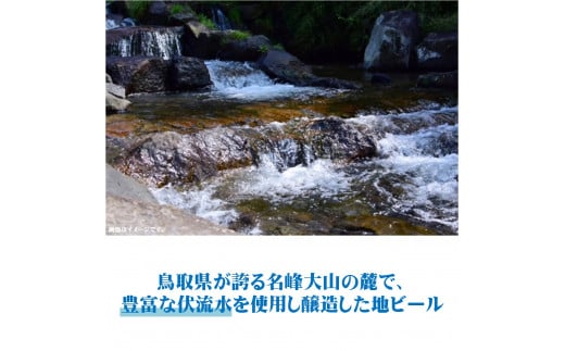 大山Ｇビール「特急やくも」ラベル６本セット　ＪＲ-Ｙ６N
