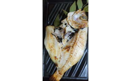 ノドグロ・白イカ入り干物セット（Dセット）【一夜干し】