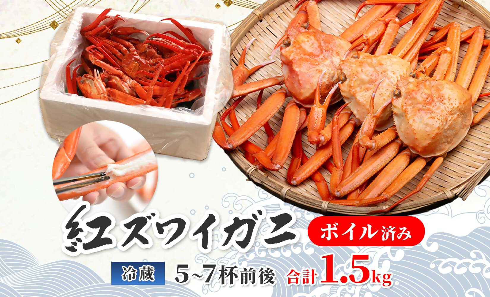 【訳あり 数量限定 期間限定】　脚折れ紅ズワイガニ（合計1.5kg）